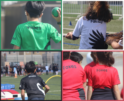 House colors sports